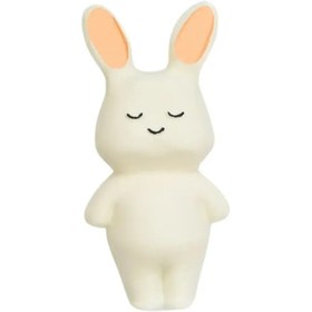 Resim Hubble - Doğal Bebek Diş Kaşıyıcı Ve Oyuncağı Tavşan 