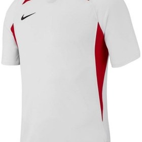 Resim Nike Dri-FIT Striker Legend V AJ0998-101 Erkek Tişört 