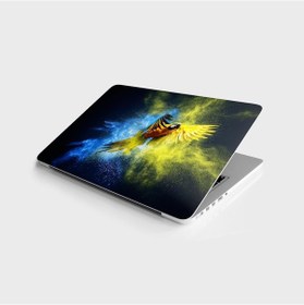 Resim Laptop Sticker Bilgisayar Notebook Pc Kaplama Etiketi Papağan 