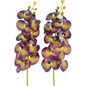 Resim Yapay Çiçek Mor Sarı Çizgi Desenli Islak Orkide Gerçeksi Doku Uzun Dal 90 Cm 