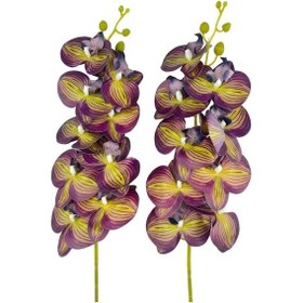 Resim Yapay Çiçek Mor Sarı Çizgi Desenli Islak Orkide Gerçeksi Doku Uzun Dal 90 Cm 