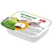 Resim Bio Petacive Kedi Çimi 