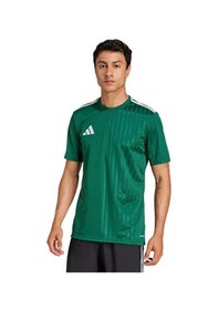 Resim Adidas Campeon25 Jsy M Erkek Futbol Antrenman Forması Jf6063 Yeşil Yeşil 