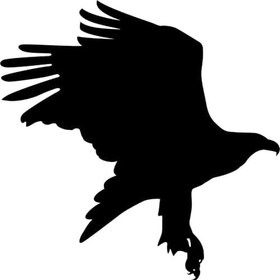 Resim Kartal Folyo Sticker 90 cm uzunluk 