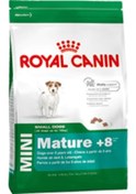 Resim Royal Canin Mini Mature Küçük Irk 8+ Yaş Yaşlı Köpek Maması 2 KG 