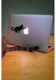 Resim Kedi Laptop Sticker Kedi Yapışkanı Laptop Stickeri 