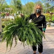 Resim UV Dirençli Yapay Pers Fermuar Bitkisi Seti, Plastik, İç ve Dış Mekan Asma Kullanımı, Konteyner veya Elektrik Gerekmez, Yıldönümü, Babalar Günü, Anneler Günü, Mezuniyet, Dünya Günü, Paskalya, Ev Dekoru, Çeşitli Oda Tipleri, İlkbahar, Tüm Mevsimler, Düğün, Fotoğrafçılık, Yeni Eve Taşınma Hediyesi, Veranda, Ofis, Pencere Kenarı, Arka Plan Duvar Süsü 
