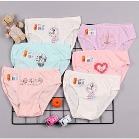 Resim Ilke Kız Çocuk Likralı Baskılı Bikini Külot 351 - 6 Adet 
