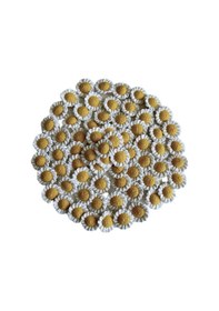 Resim Neslihan Hobi Dünyası Amigurumi Papatya Anahtarlık 50 Adet 