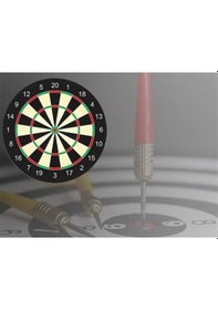 Resim Dart Seti 28Cm Çift Taraflı Dart Tahtası Dart Okları 4 Adet Ok 