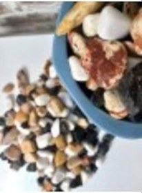 Resim Asenya Renkli Çakıl Taşı 2 Kg 1-2 Cm Saksı Dibi Teraryum Saksı Süs Vazo Dibi Dekoratif Dolomit Taş 