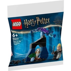 Resim LEGO® Harry Potter Draco İn The Forbidden Forest 30677 