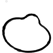 Resim Cf Moto 450 Sr Termostat Kapağı Oringi 