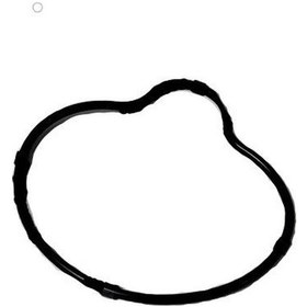 Resim Cf Moto 450 Sr Termostat Kapağı Oringi 