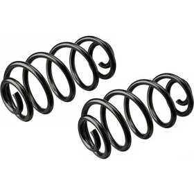 Resim BSG Opel Corsa C Arka Helezon Yayı Takım 424057 