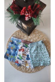 Resim JASMIN UNDERWEAR 320-3'lü Pamuklu Erkek Çocuk Renkli Boxer 