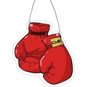 Resim Quart Aksesuar Boks Eldiveni Dekoratif Araba Oto Kokusu ve Aksesuarı 