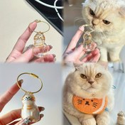 Resim 1/6 Adet Sevimli Kedi Tüyü Saklama Anahtarlık, Anı Hatırası veya Araba Aksesuarı Olarak Mükemmel! 