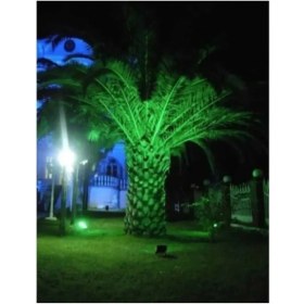 Resim Ledli Siyah Aleminyum Döküm Kasa 10W Yeşil LED Projektör Bahçe Mağaza Bina Giriş Su Geçirmez LED Pr 