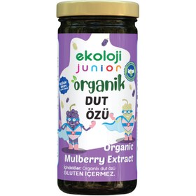 Resim EKOLOJİ MARKET Junior Dut Özü 290g 