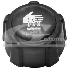 Resim Mais 8200048024 Genleşme Kavanoz Kapağı Kng-Clıo-Mgn-Logan-Sandero *Ae 