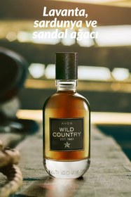 Resim Avon Wild Country ve Musk Metropolitano Erkek Parfüm Paketi 