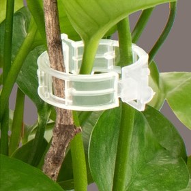 Resim 400 adet Bahçe Bitki Destek Klipsi - Biber ve Biber Çiçekleri için Dayanıklı Plastik Anti-Tip Tokalı, Yeşil Bitki Fixatörleri için Hidroponik ve Bahçecilik, Güvenli Çiçek Yetiştirme Yardımcıları, Bitki Destek Aksesuarları | Güvenli Çiçek Yetiştirme Yardımcıları | Kolay Uygulama Klipsi, Bahçe Bitki Destekleri 