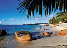 Resim Ravensburger 1000 Parça Puzzle Palmiye 190188 