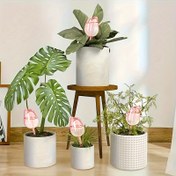 Resim 3-Pack Pink Tulip Sulama Topları, Dar Ağız Tasarımı, Kapalı/Dış Mekan Saksı Bitkileri, Asılı Sepetler, Bahçe Araçları ve Çim Bakım Aksesuarları için Uzatılmış Damlama Süresi, Bitki Sulama Topları 