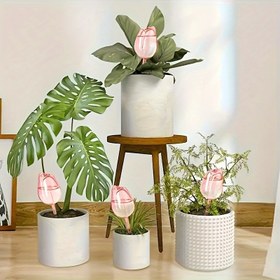 Resim 3-Pack Pink Tulip Sulama Topları, Dar Ağız Tasarımı, Kapalı/Dış Mekan Saksı Bitkileri, Asılı Sepetler, Bahçe Araçları ve Çim Bakım Aksesuarları için Uzatılmış Damlama Süresi, Bitki Sulama Topları 