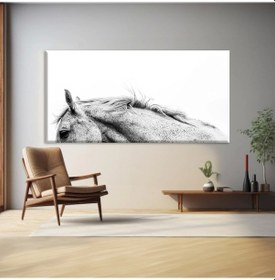 Resim Noble Kontur Kanvas Tablo 