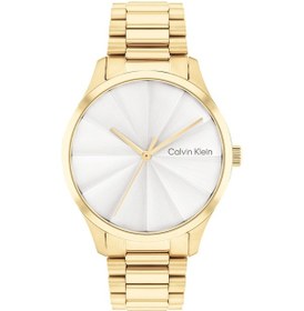 Resim Calvin Klein CK25200232 Kadın Kol Saati 