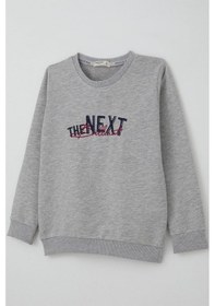 Resim Breeze Erkek Çocuk Sweatshirt Yazı Nakış Baskılı 5-10 Yaş, Gri Melanj Gri Melanj 