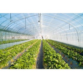 Resim 6x4 36 Aylık Sera Naylonu 350 Mikron Branda Örtüsü Uv - Eva-ab Katkı Xömbx4 