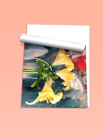 Resim Zestia Çerçevesiz Poster, Doğanın Dansı, Salon Dekoru Poster No: 113535 21 x 30 