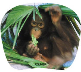 Resim Tucano MPBOX-REF-28 Natura Serisi Mouse Pad - Yavru Maymun 