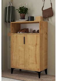 Resim 1203 Ada Ayakkabılık 4 Raflı 2 Kapaklı Çok Amaçlı Dolap Safir Safir 