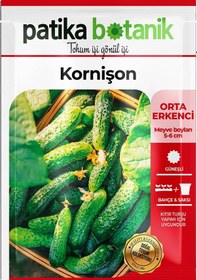 Resim 75 Adet Yerli Ata Kornişon Turşuluk Salatalık Tohumu 