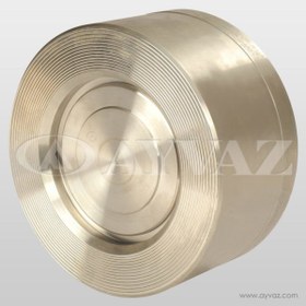Resim AYVAZ ÇEKVALF DİSCO PASLANMAZ 304 DN 25 ÇV-10S/1 