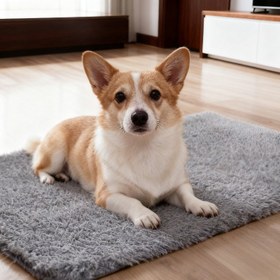 Resim Hafıza Köpüğü Kedi Yatağı - Çıkarılabilir Kılıflı Peluş Evcil Hayvan Matı, Büyük ve Küçük Kediler İçin Gri & Siyah Yumuşak Yastık, Sıcak Kış & Sonbahar Yatak Pedi, Dayanıklı ve Çevre Dostu Kedi Yatağı 