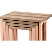 Resim BENGİ TİCARET Zigon 16803 C Model Sehpa Kayın Aslan Tekerlek Ayak Mdf Tabla Kutu Sevk El Yapım 