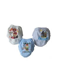 Resim Tuvalet Eğitimi Sızdırmaz Erkek Bebek Alıştırma Külodu 