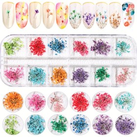 Resim 24 adet 3D Kurutulmuş Çiçekler Tırnak Sanatı için Doğal Karışık Gypsophila Çiçekleri Tırnak Çıkartmaları Çıkartmaları Karışık Minik Çiçek Yaprakları Tırnak Çıkartmaları El Sanatları Kadınlar için Renkli Çiçekli Kurutulmuş Çiçek Tasarımları DIY Manikür Süslemeleri 