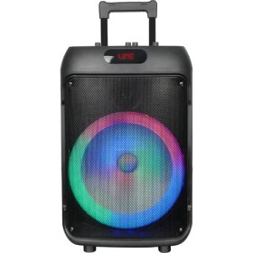 Resim Zore GD-1203 Dijital LED Göstergeli Fm Radyolu Mikrofonlu Rgb Tws 12 Inç Stereo Bass Kablosuz Karaoke Hoparlör 