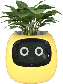 Resim Masdio Ivy AI Yapay Zeka Destekli Akıllı Saksı Sarı 