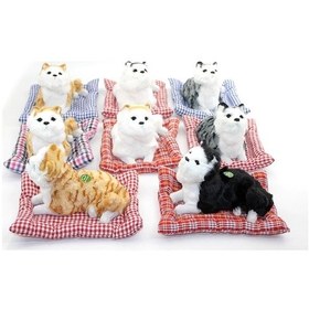 Resim Kafa Salayan Yastıklı Kedi Alk2566 01 