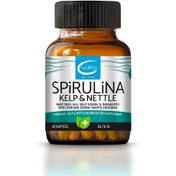 Resim THELİFECO Spirulina Kelp & Nettle 60 Kapsül 