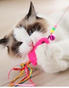 Resim River World Kediler İçin Balıklı Oyun Oltası Oyuncak 