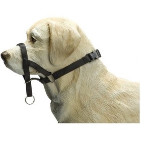 Resim Beeztees Köpek Eğitim Tasması, Baş Kontrollu, Siyah, S 