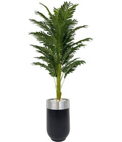 Resim Areka Palmiyesi 170cm Metal Siyah Gümüş Darbuka Saksıda H 